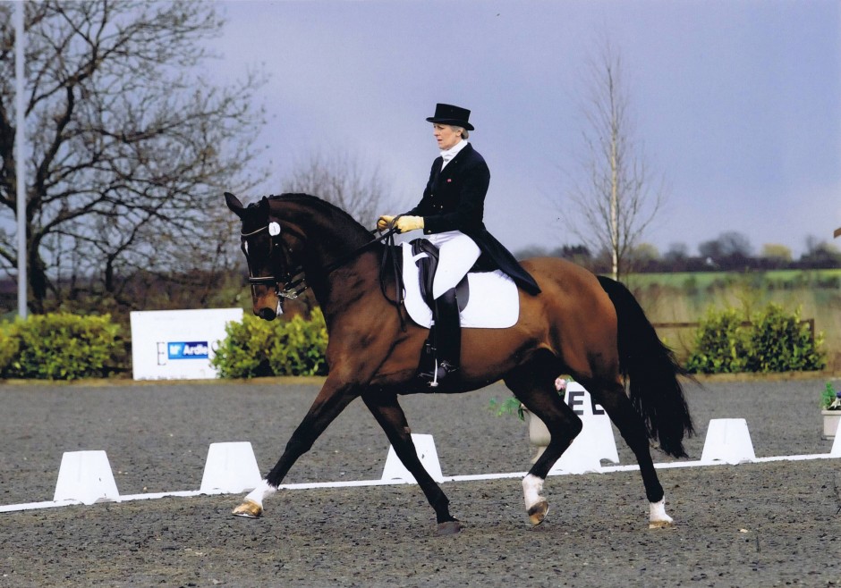 dressage