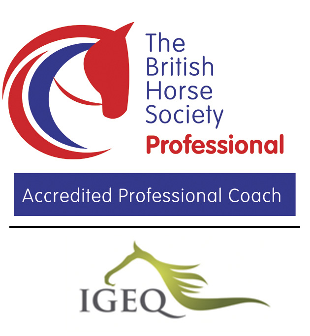 BHS_Education_Logo_Professional Coach